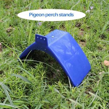 PigeonPerch Bleu – Kit 10