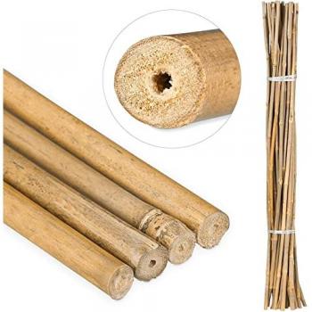Tutori Bambu Eco 50x90cm