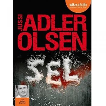 Sel - Les Enquêtes du département V, Vol. 9.
