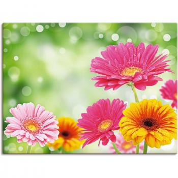 Artland Wandkunst »Gerbera-Idylle«, Blumen, (1 St.), als Leinwandbild, Poster in verschiedenen Größen