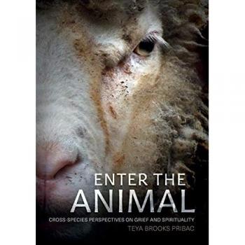 Enter the Animal: Cross-species perspectives on grief and spirituality (Animal Publics)