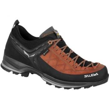 Salewa MS Mtn Trainer 2 GTX - Marron