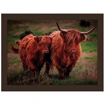 Rural Roots Highland Cows Lap Tray