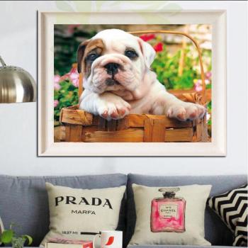 Broderie Strass Bouledogue