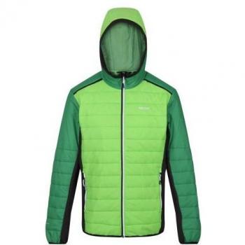 Chaqueta acolchada con volantes Trutton II de Regatta para hombre