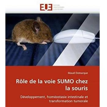Rôle de la voie SUMO chez la souris: Développement, homéostasie intestinale et transformation tumorale