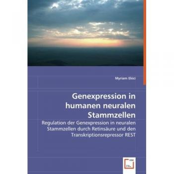 Genexpression in humanen neuralen Stammzellen