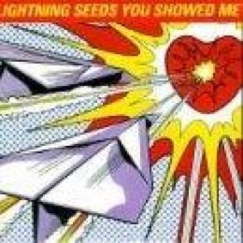 The Lightning Seeds You Showed Me 1997 Limited Edition CD