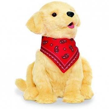 Golden Pup LifeMate