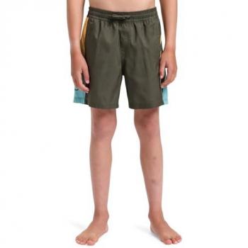 Quiksilver Everyday Holmes Volley 14 Swim Shorts for Boys – Multi‑Color, Size 12