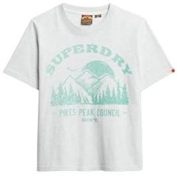 Superdry Femme T-shirt Monochrome Décontracté Lo-Fi Gris Clair 36