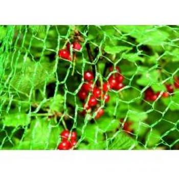 Floravert Filtre Oiseaux 10×2 m