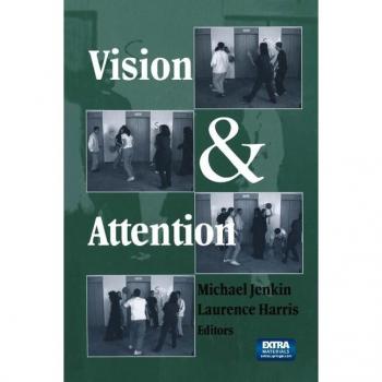 Vision and Attention