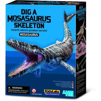 Vykopávka - Mosasaurus - skládací kostra