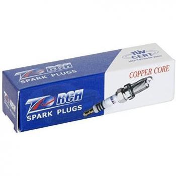 10 x bougie 21c torche gl4c x tondeuse à gazon
