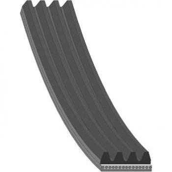Febi Bilstein 38443 Riemen für BMW