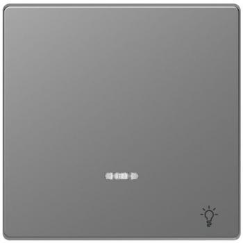 Tecla Simple Schneider Electric D-Life Aluminio con Símbolo Luz y Visor