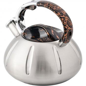 3L Whistling Stainless Steel Tea Kettle
