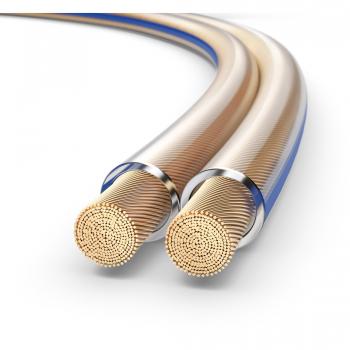 PureLink SP020-010 Cavo per diffusori 2x4,0 mm²