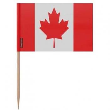 Cure-dents Drapeau Canadien 100 unités 8cm