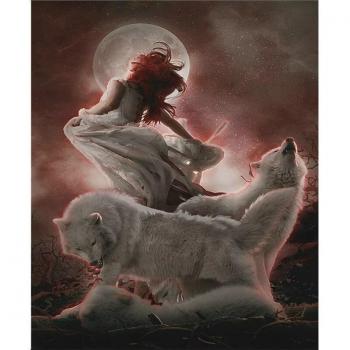 Peinture Diamant Loup et Fille 20x30CM