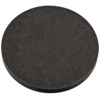 Febi Bilstein Valve Timing Adjustment Disc 18443
