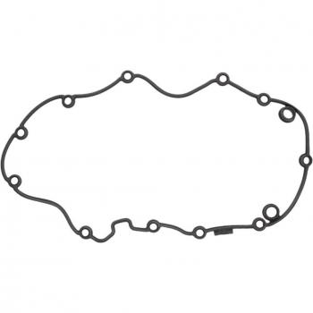 REINZ 71‑40482‑00 Guarnizione Copritestata