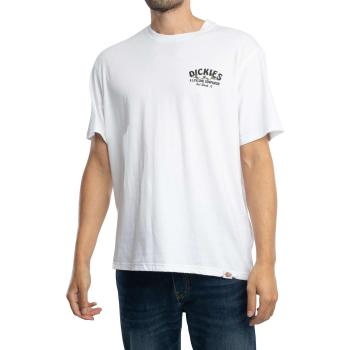 DICKIES COMPANION TEE SS men Shortsleeves white in taglia:XL