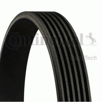 Contitech Cinghia Poly-V 6Pk1306