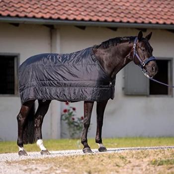 BUSSE Pferde-Liner Noorvik Pro 100g - schwarz