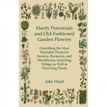 Hardy Perennials and Old-Fashioned Garden Flowers;Describing the Most Desirable Plants for Borders, Rockeries, and Shrubberies, Including Foliage as Well as Flowering Plants
