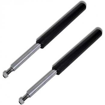 VidaXL 2x Gas Ammortizzatore Coppia Anteriore in Acciaio Set per Auto