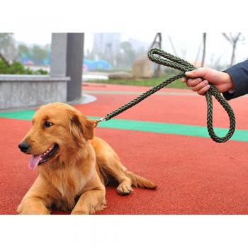 Strong Rope Dog Leash with Collar - M/L/XL