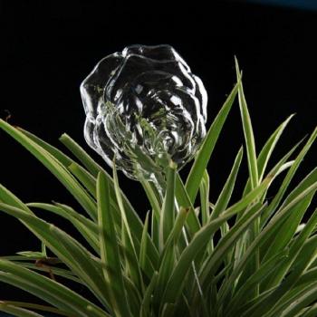 Self-Watering Glass Flower Pot