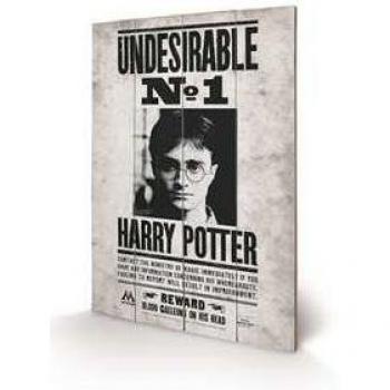Harry Potter Undesirable No. 1 Wooden Wall Art