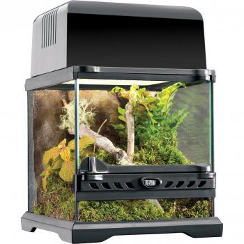 Habitat Exo Terra Large pour reptiles, terrarium naturel Nano
