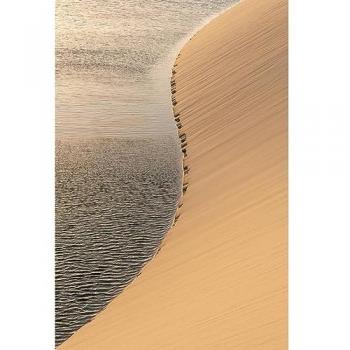 Ceanothe Tableau sur verre dunes de sable 45x65 cm