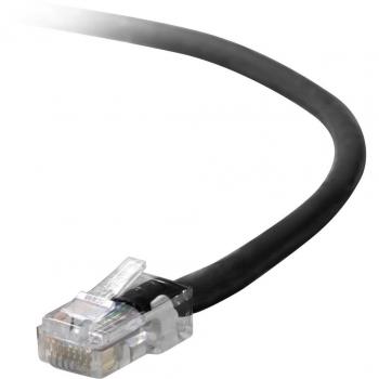 Belkin 2 ft Cat5e RJ45 UTP Cable