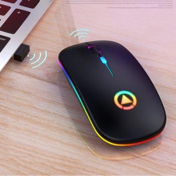 Wireless Optical Mouse with USB Receiver 1600dpi