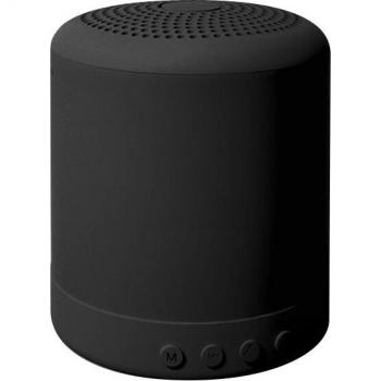 Portable Bluetooth FM MP3 Speaker