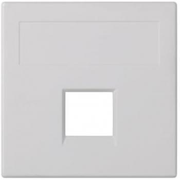 Placa Voz-Datos SG Infra+ 1M Blanco Simon