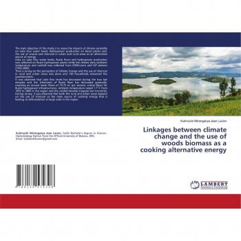 Linkages between climate change and the use of woods biomass as a cooking alternative energy