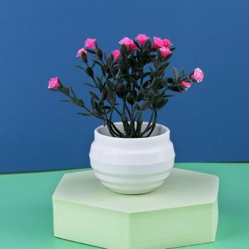 Bonsaï artificiel Aloe Vera