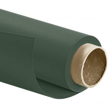 Walimex Pro Chroma Key Hintergrundkarton 2,72x10m