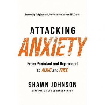 Shawn Johnson Attacking Anxiety