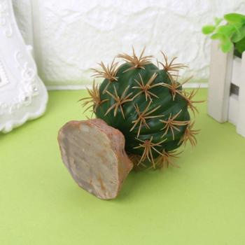 Terrarium pour amphibiens en plastique