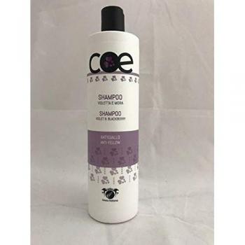 Shampoo, Mascarilla, Ampollas y Suero Antiamarillo