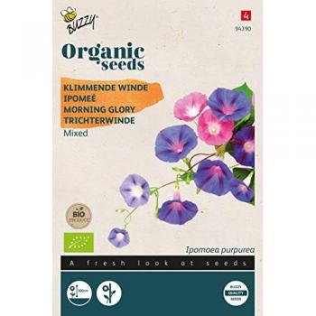 Buzzy Seeds Organic Morning Glory Mixed