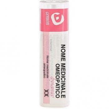 THUYA OCCIDENT 12CH GR