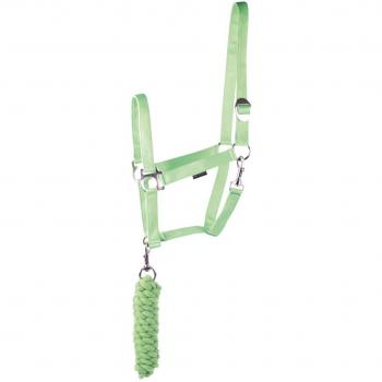Licol et longe Harry's Horse Initial vert